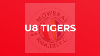 U8 Tigers