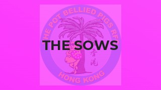 The Sows