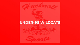 Under-9s Wildcats