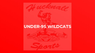 Under-9s Wildcats