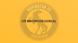 U11 Broncos (girls)