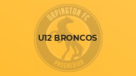 U12 Broncos
