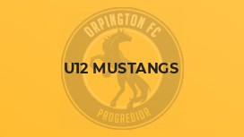 U12 Mustangs