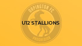 U12 Stallions