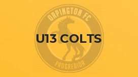 U13 Colts