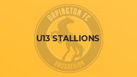 U13 Stallions