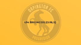 U14 Broncos (girls)