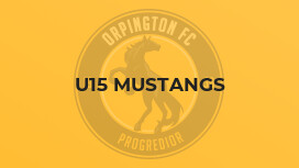 U15 Mustangs