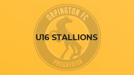 U16 Stallions