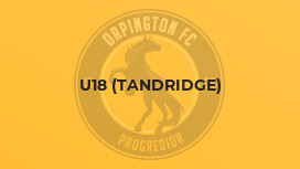 U18 (Tandridge)