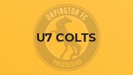 U7 Colts