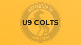 U9 Colts