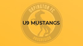 U9 Mustangs