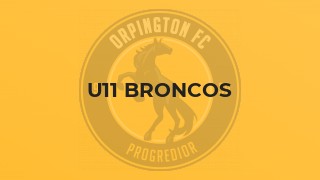 U11 Broncos