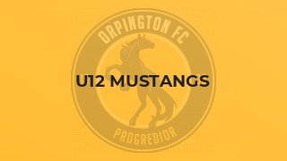 U12 Mustangs