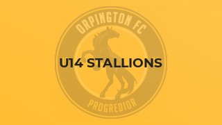U14 Stallions