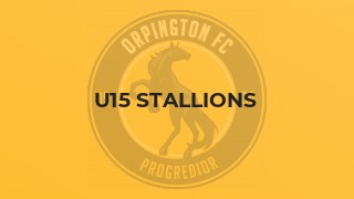 U15 Stallions