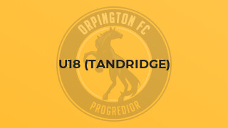 U18 (Tandridge)