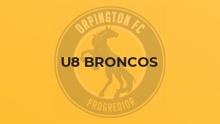 U8 Broncos