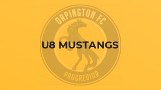 U8 Mustangs