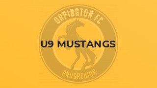 U9 Mustangs
