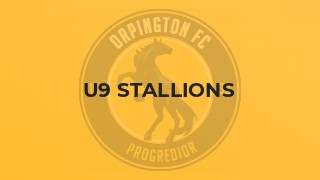 U9 Stallions
