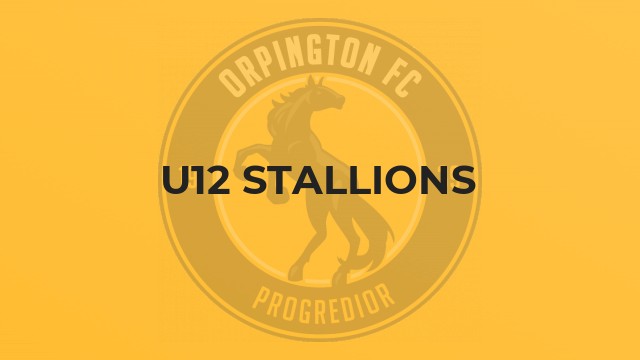 U12 Stallions