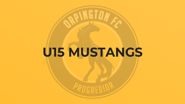 U15 Mustangs