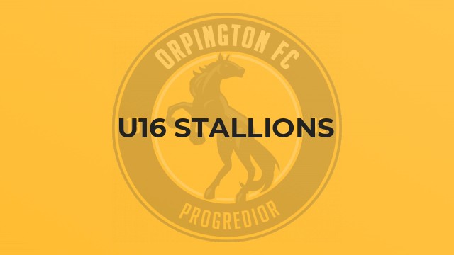 U16 Stallions