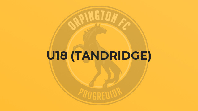 U18 (Tandridge)