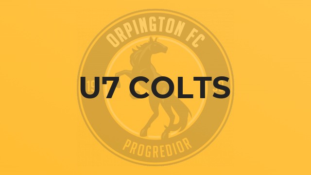 U7 Colts