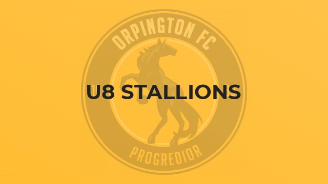 U8 Stallions