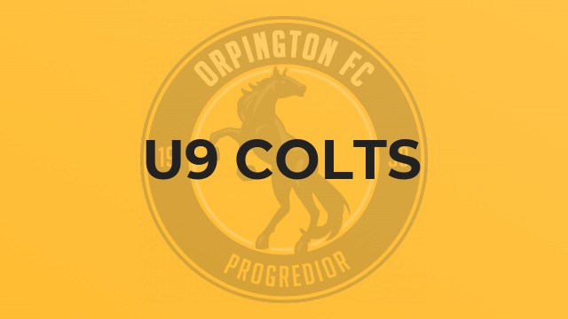 U9 Colts