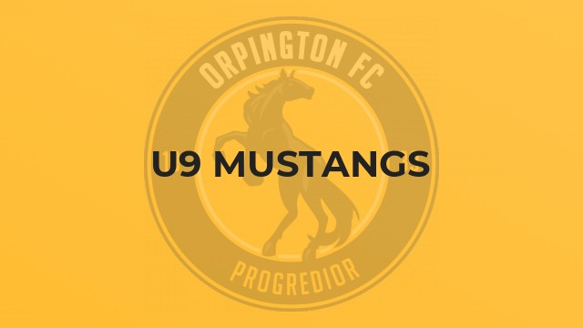 U9 Mustangs