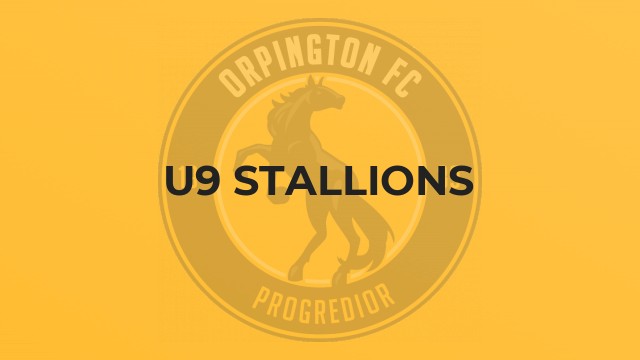 U9 Stallions